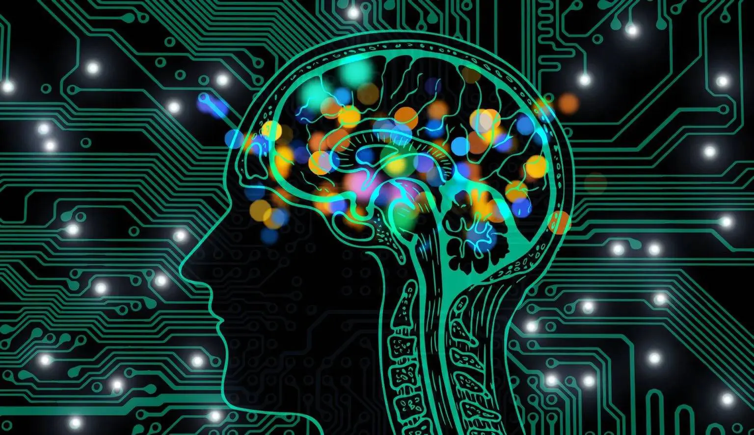 top artificial intelligence universities