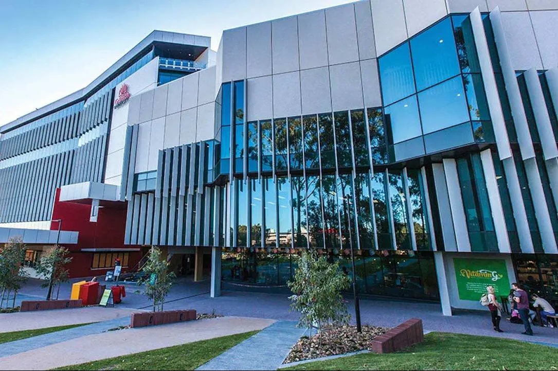 scholarships at Griffith University