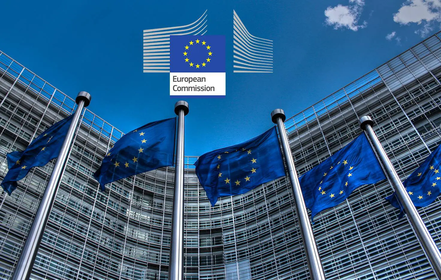 Scientific Research Scholarship 2024