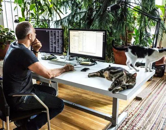 Best Remote Jobs in the World
