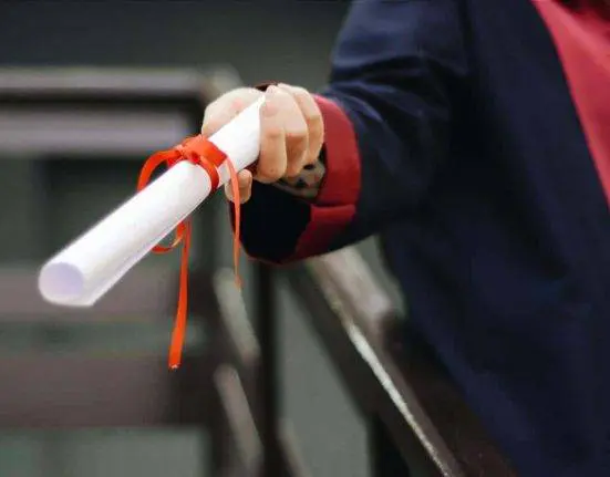 Most Demanded Degrees in 2024