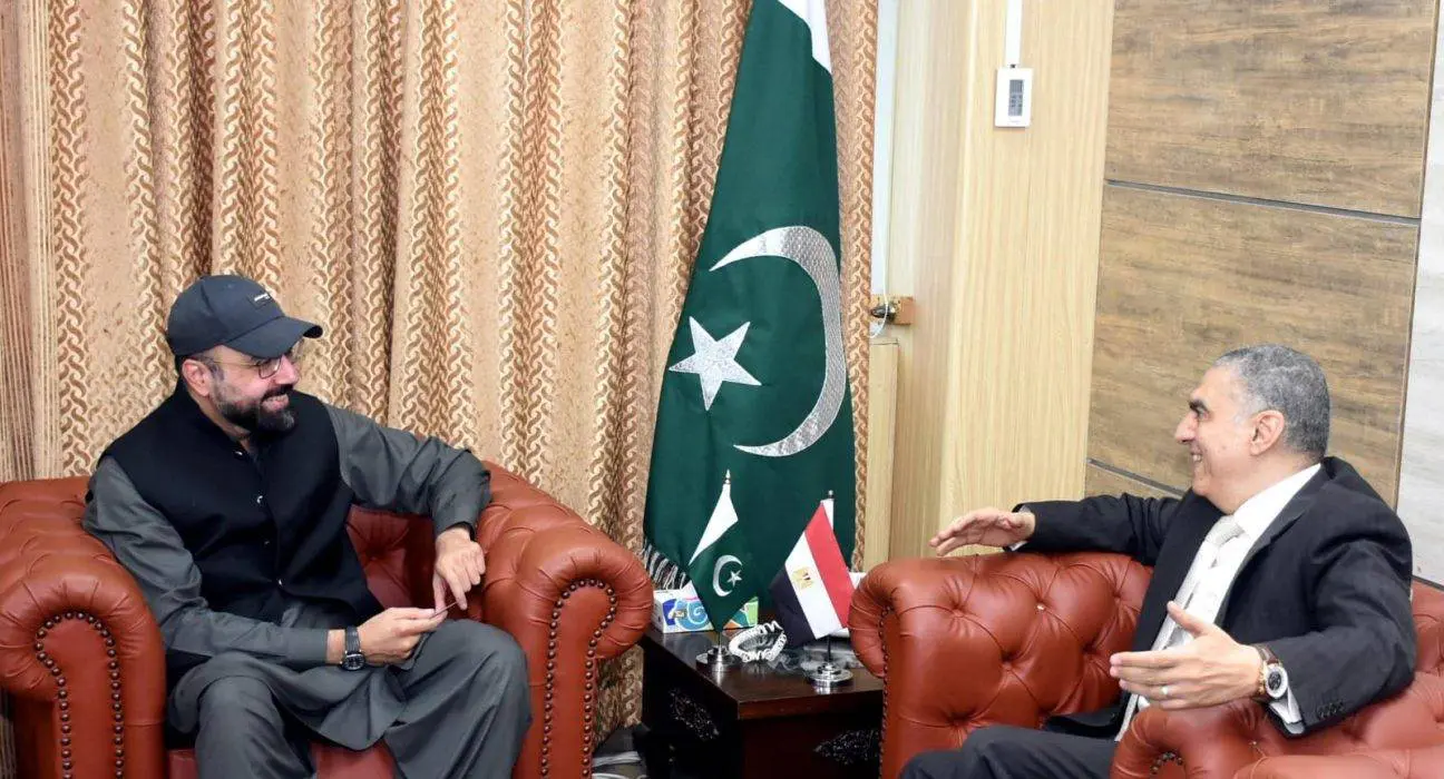 Pakistan and Egypt to Enhance Cooperation