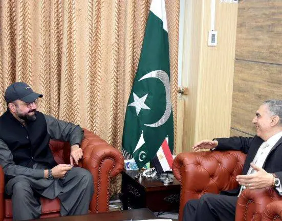 Pakistan and Egypt to Enhance Cooperation