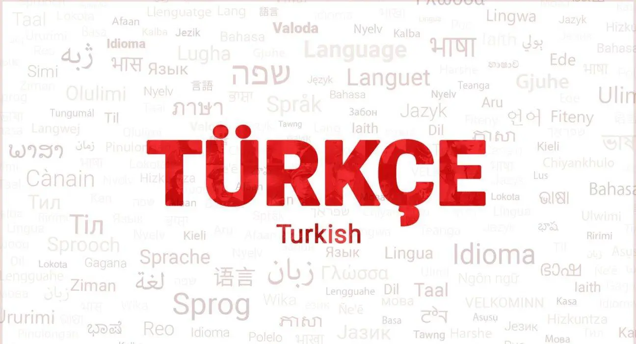 Exploring the Benefits of Learning Turkish in 2024