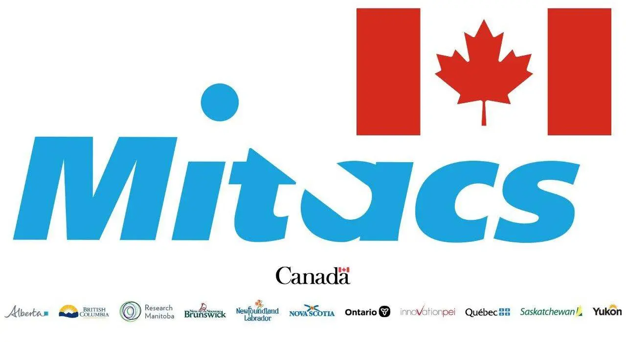 Mitacs Globalink Research Internship