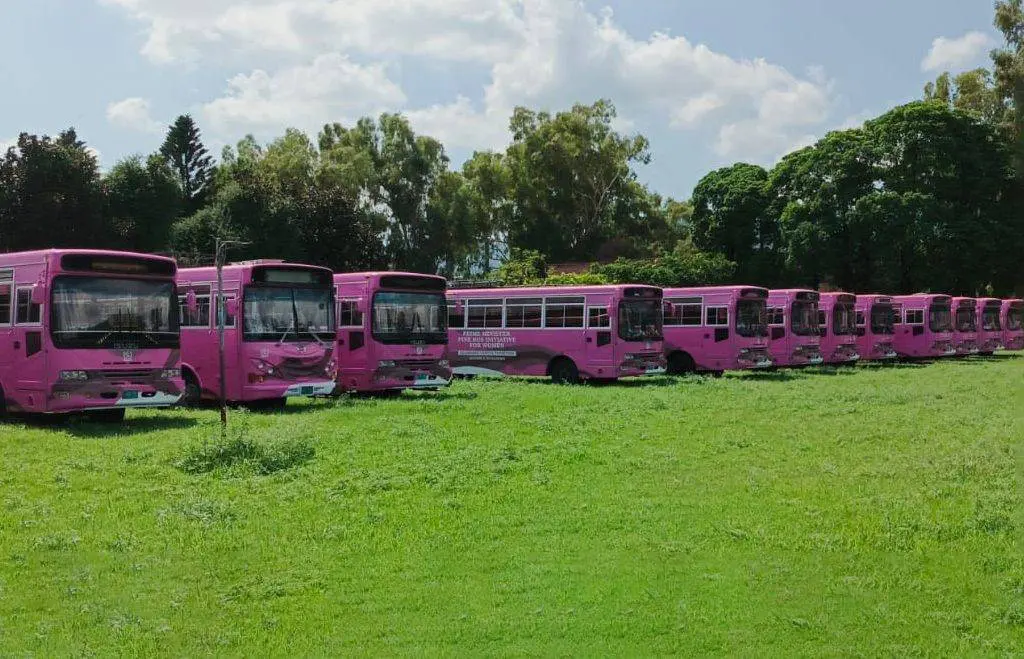Pink Buses for Female Teachers and Students