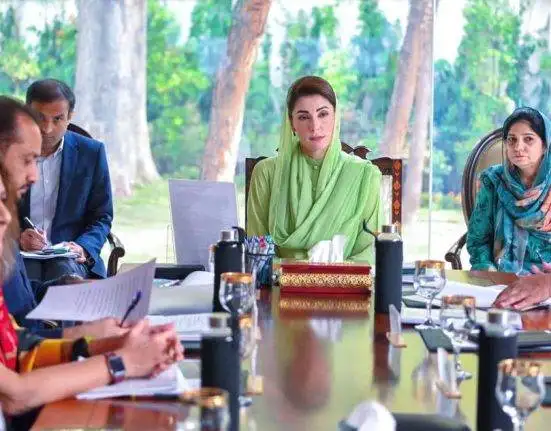 CM Punjab Launches Historic Micro-Libraries