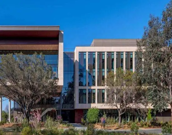 Top 10 Medical Schools in the USA