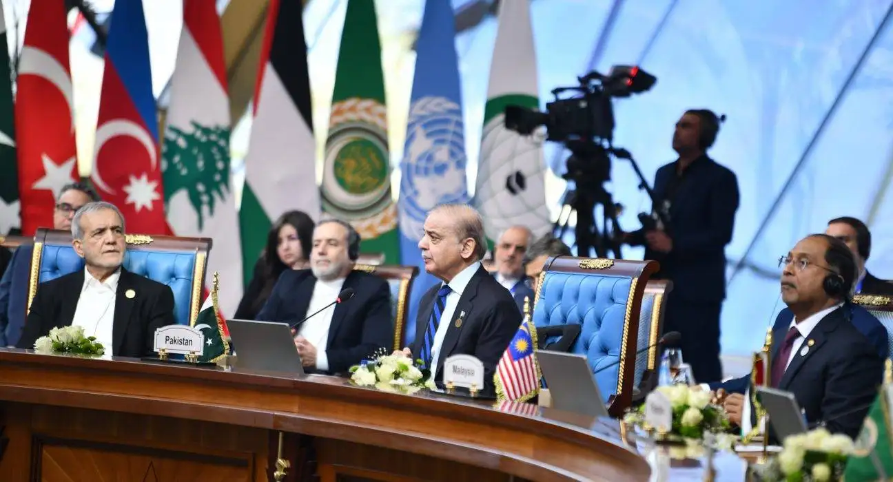 Shehbaz Sharif at D8 Summit