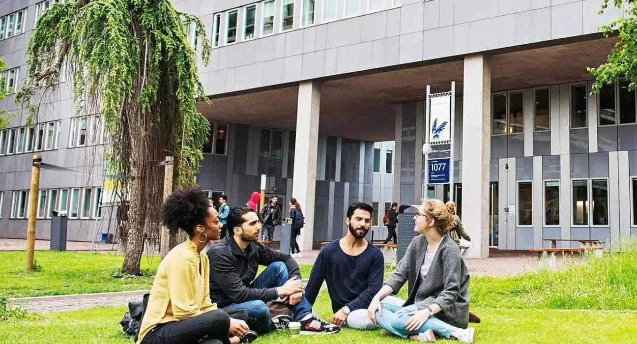 VU Amsterdam Fellowship Program