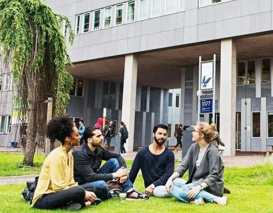 VU Amsterdam Fellowship Program