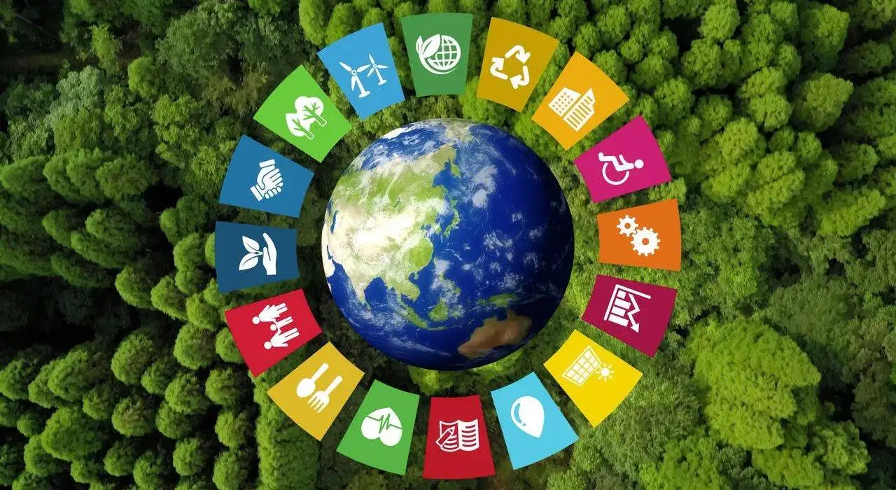 Top Careers in Sustainable Development in 2025