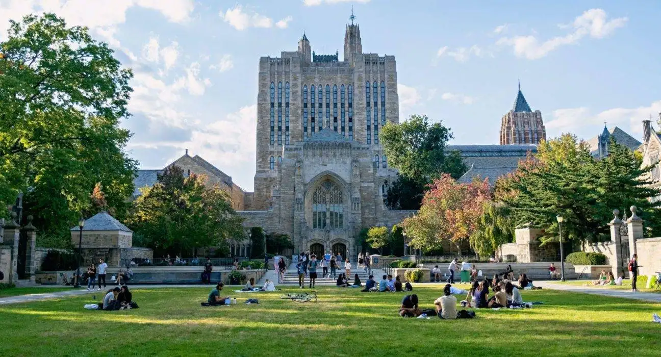 Best Majors for Pakistani Students at Yale University