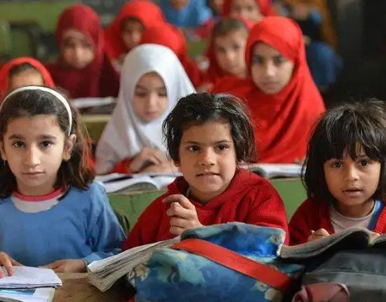 UNICEF Report Exposes Punjab's Education Crisis
