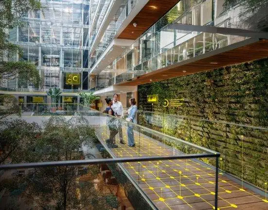 ACCA and EY Chart Roadmap for Responsible AI
