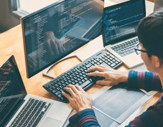 Challenges of Self-learning Programming