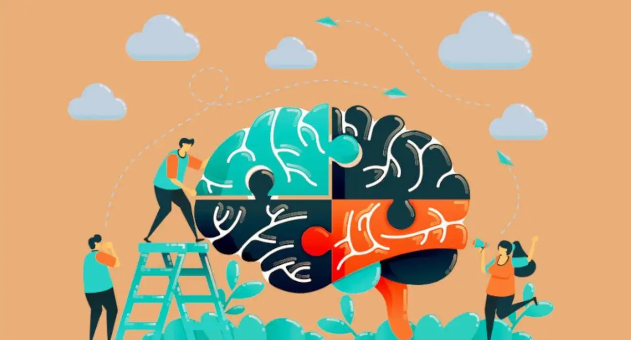 Highest Paying Psychology Careers