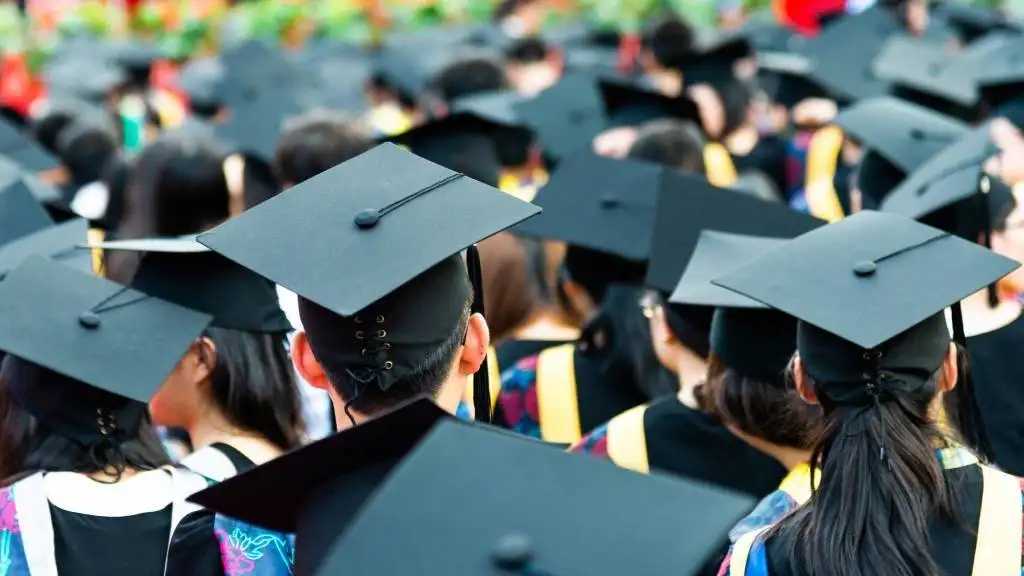Highly Paid Degrees in Pakistan 2025