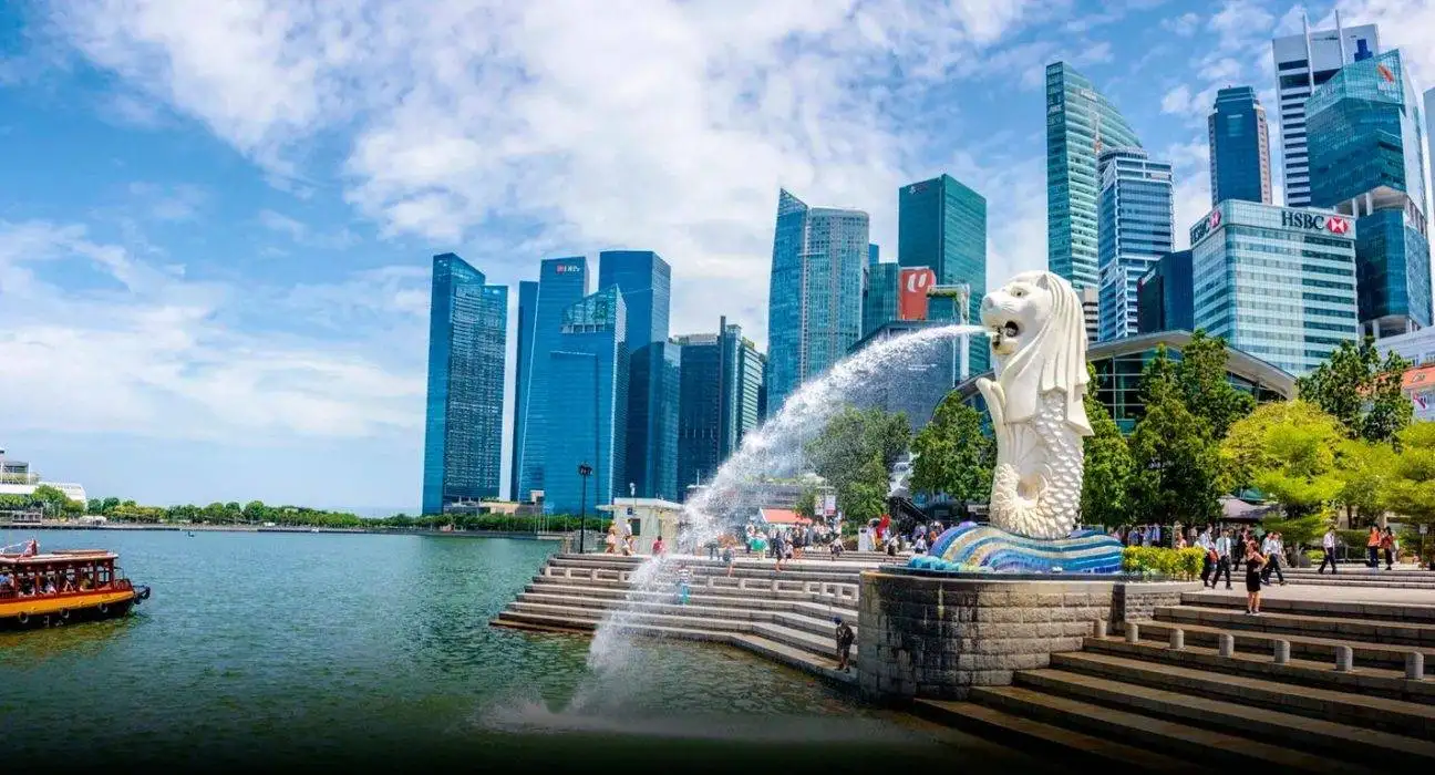 2 Month Fellowship Program in Singapore