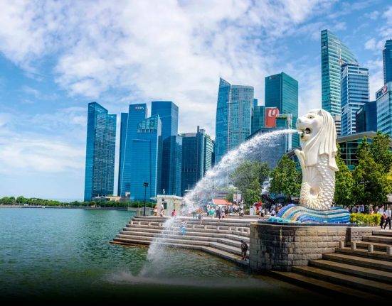 2 Month Fellowship Program in Singapore