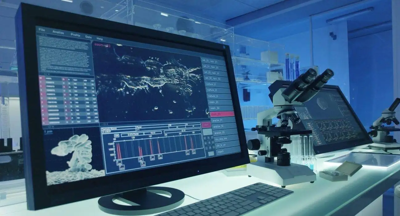 Best Computer Science Fields in Pakistan