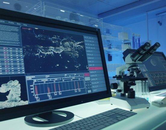 Best Computer Science Fields in Pakistan