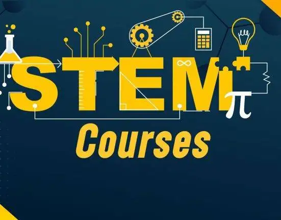 Best STEM Courses in 2025