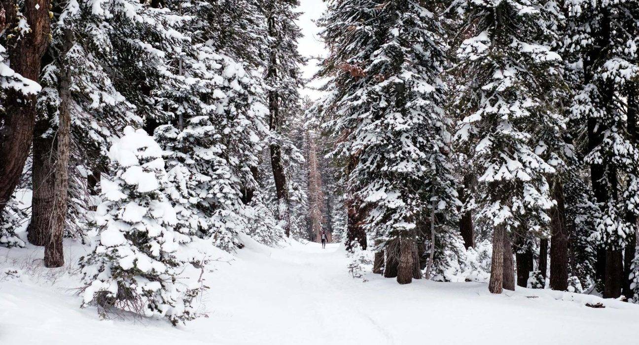 Students Brace for Long Winter Holidays in Murree