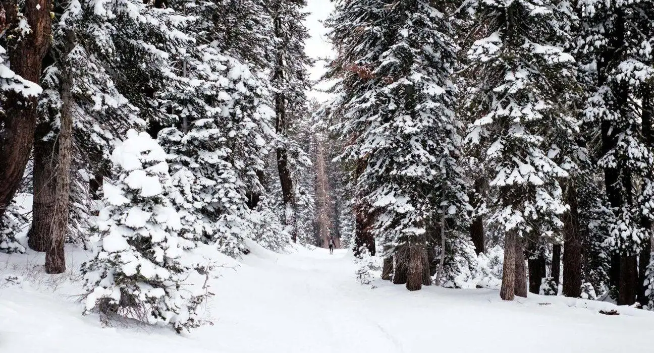Students Brace for Long Winter Holidays in Murree