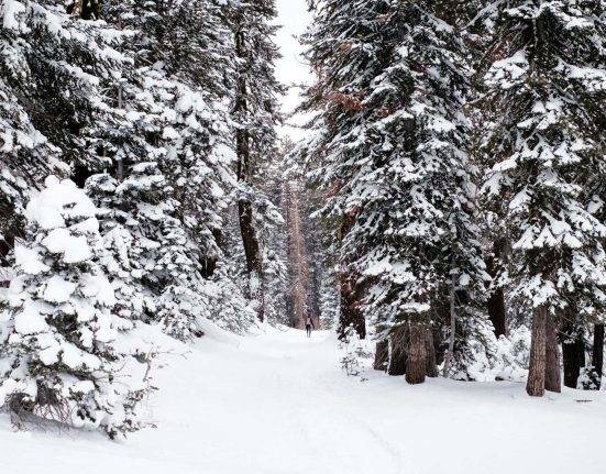 Students Brace for Long Winter Holidays in Murree