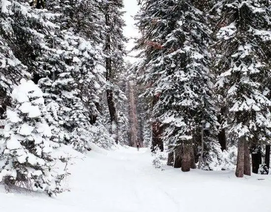 Students Brace for Long Winter Holidays in Murree