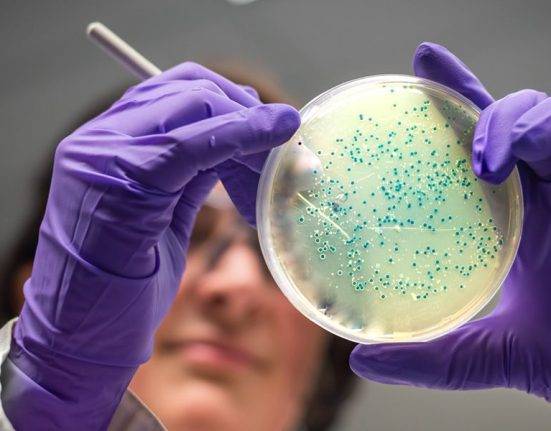 Benefits of Pursuing a Degree in Microbiology