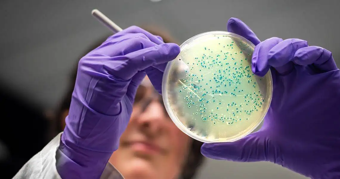 Benefits of Pursuing a Degree in Microbiology