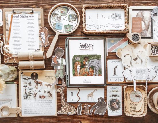 Benefits of Pursuing a Degree in Zoology