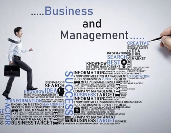 Best Countries to Study Business and Management