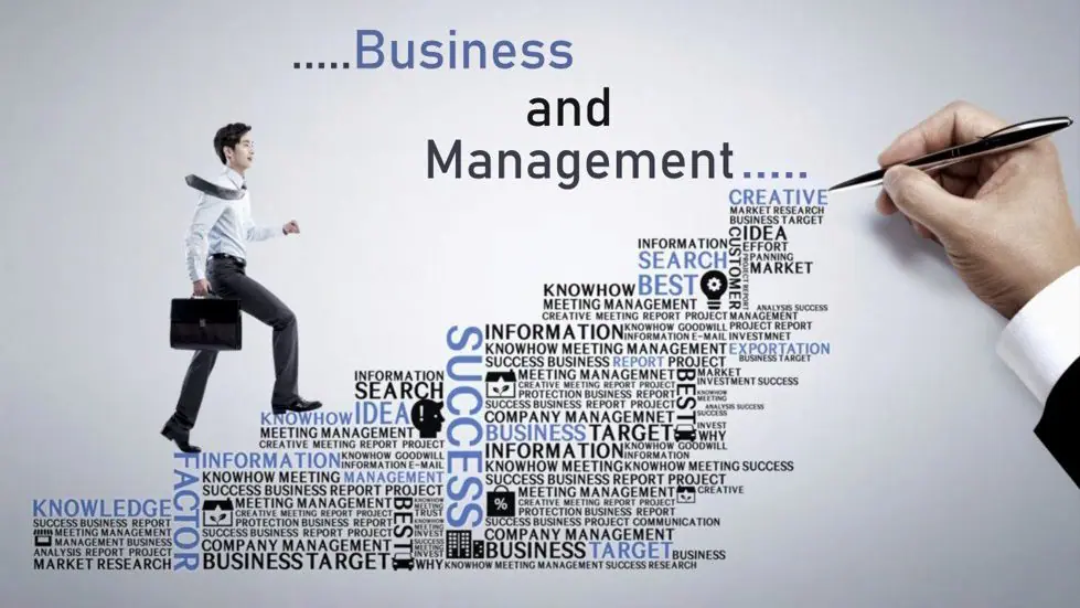 Best Countries to Study Business and Management