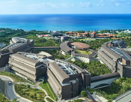 OIST Research Internship 2026