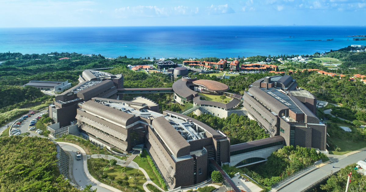 OIST Research Internship 2026