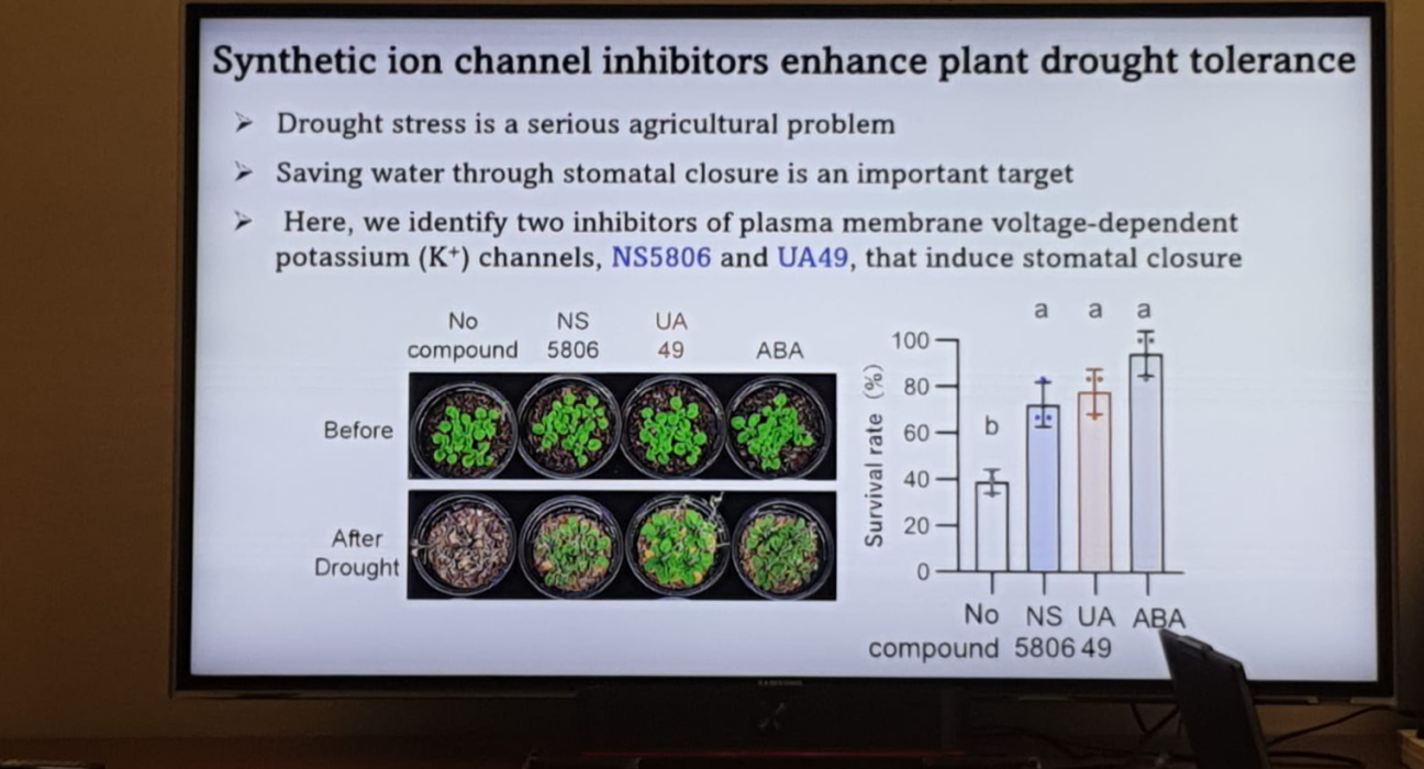 LUMS Scientists Identify Promising Plant Compounds