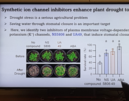 LUMS Scientists Identify Promising Plant Compounds