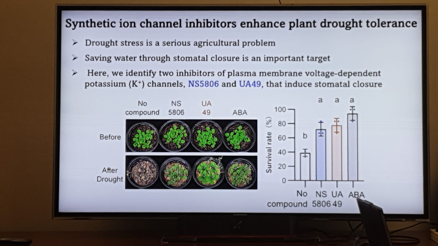 LUMS Scientists Identify Promising Plant Compounds