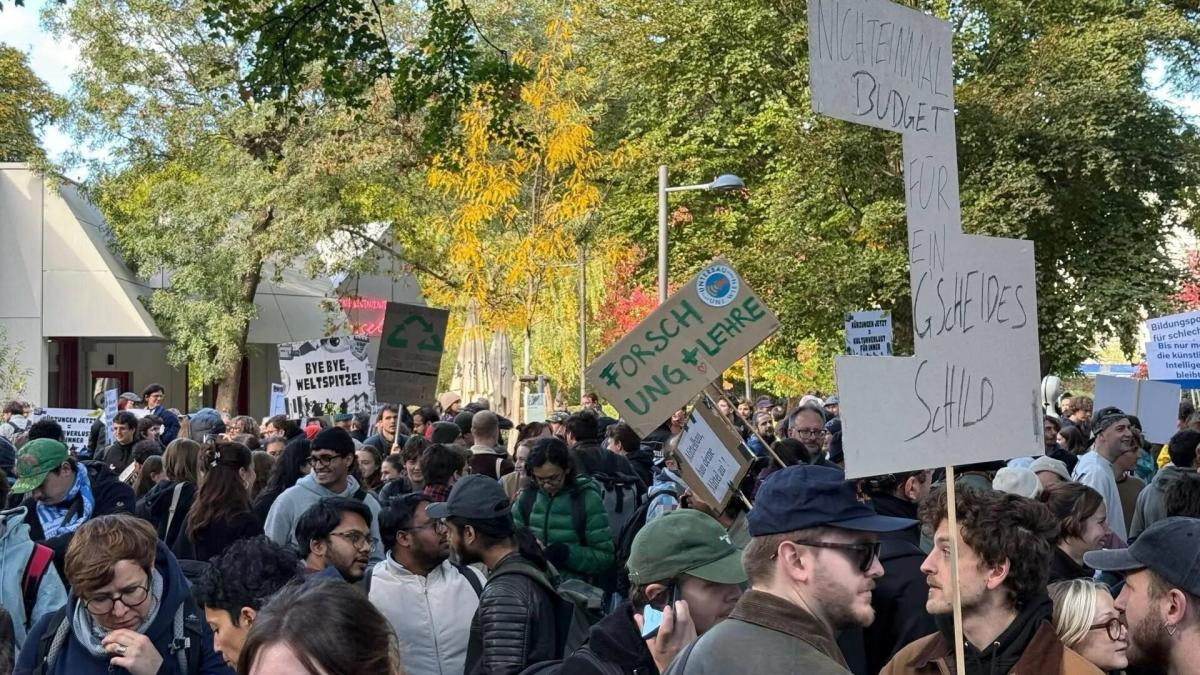 Protest in Vienna to Save Austrian Universities